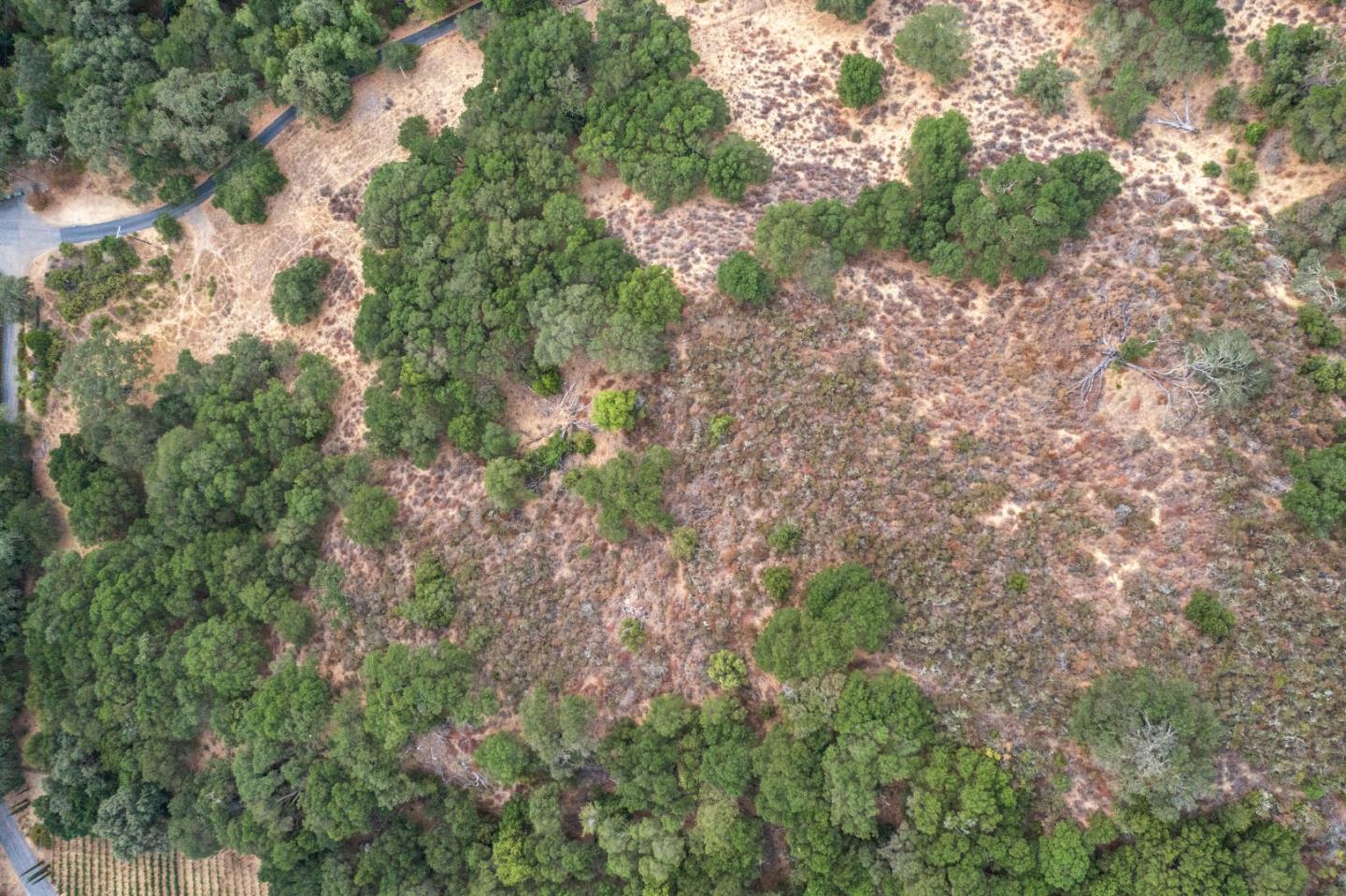 Detail Gallery Image 7 of 37 For 0000 Wagner Rd, Los Gatos,  CA 95032 - – Beds | – Baths