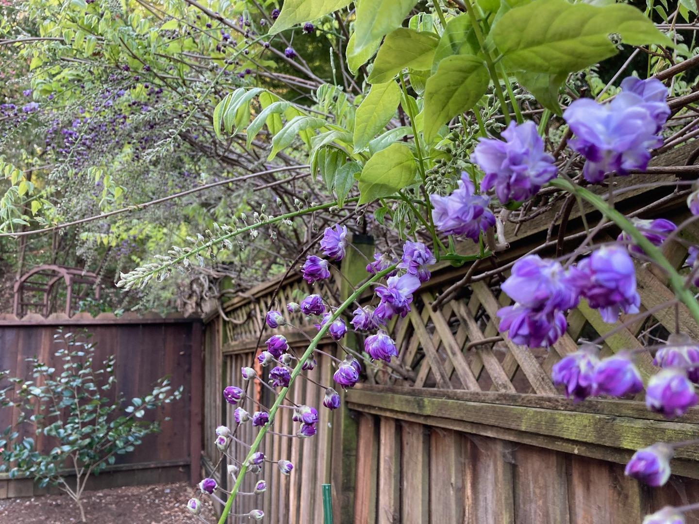 Detail Gallery Image 26 of 33 For 1822 Early Dr, Felton,  CA 95018 - 3 Beds | 2 Baths