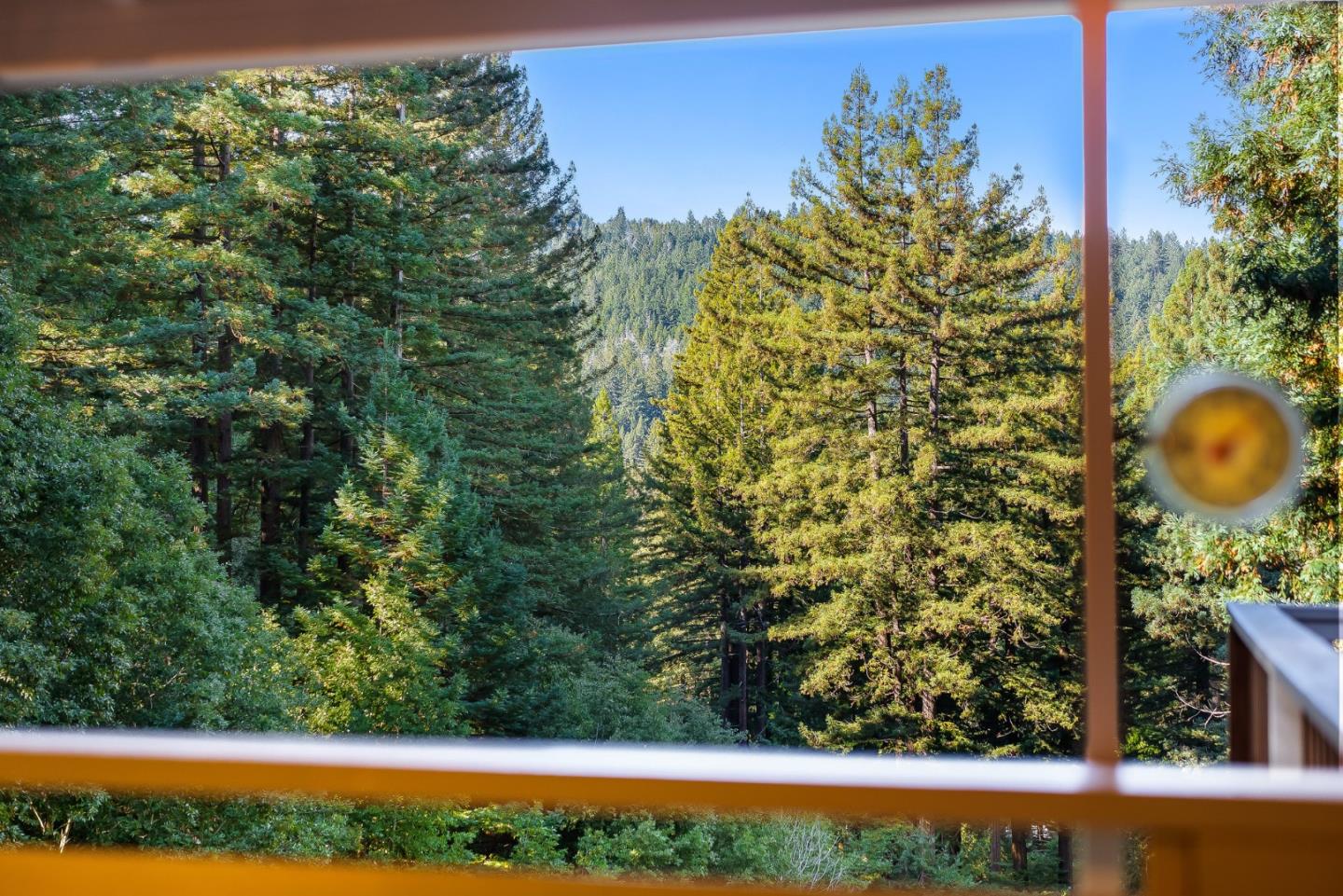 Detail Gallery Image 47 of 76 For 1822 Early Dr, Felton,  CA 95018 - 3 Beds | 2 Baths