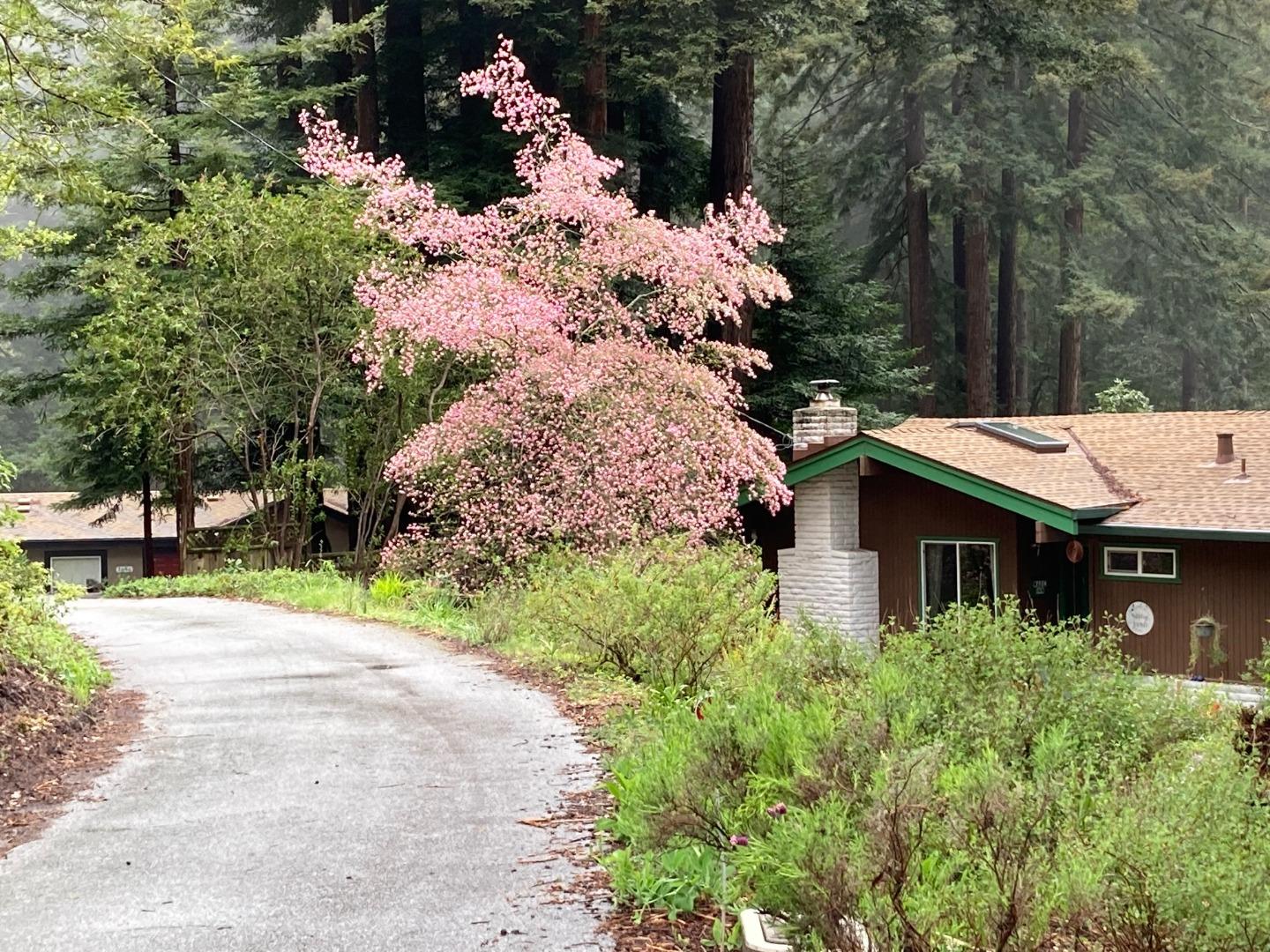 Detail Gallery Image 58 of 76 For 1822 Early Dr, Felton,  CA 95018 - 3 Beds | 2 Baths