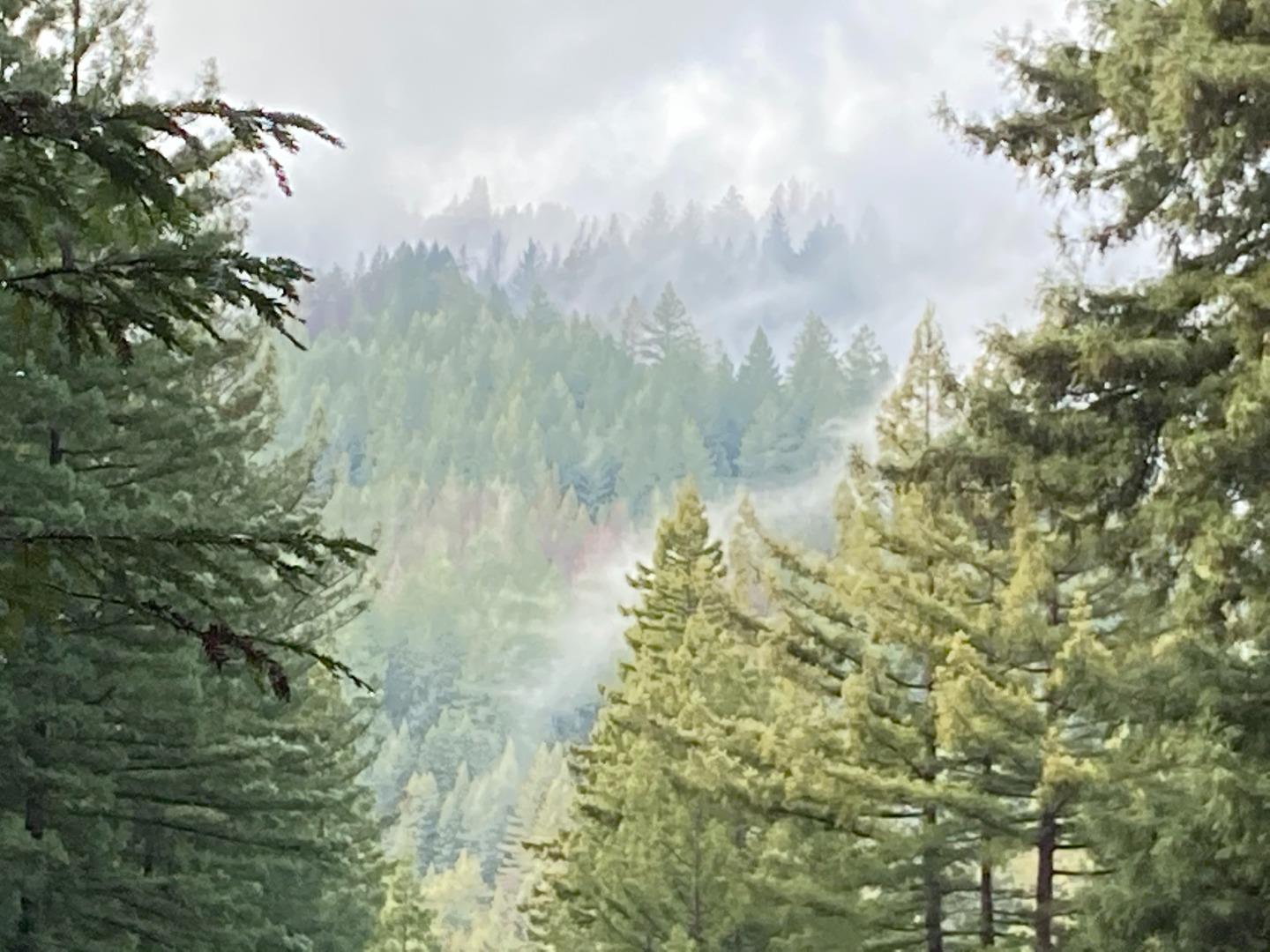 Detail Gallery Image 60 of 76 For 1822 Early Dr, Felton,  CA 95018 - 3 Beds | 2 Baths