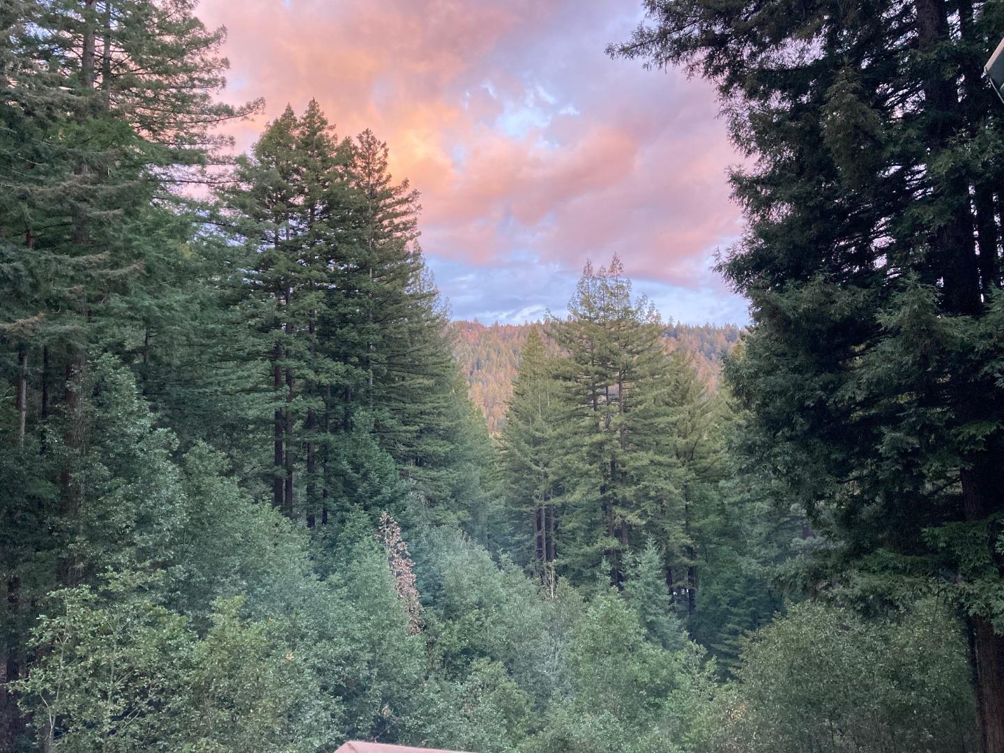 Detail Gallery Image 63 of 76 For 1822 Early Dr, Felton,  CA 95018 - 3 Beds | 2 Baths