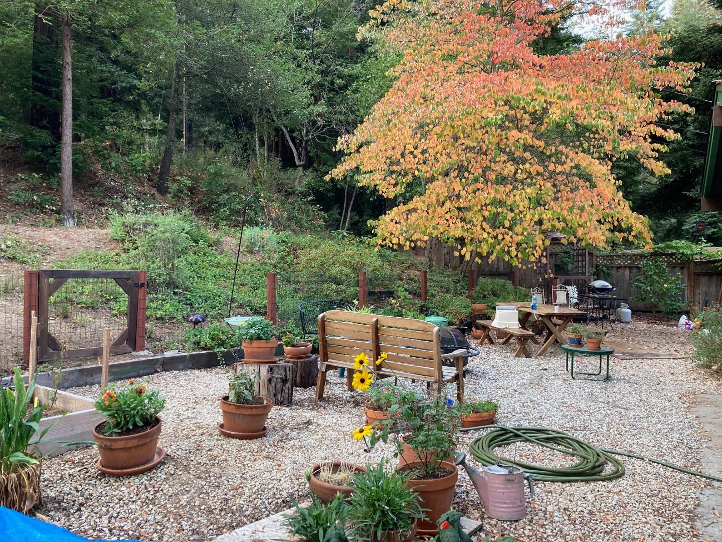 Detail Gallery Image 64 of 76 For 1822 Early Dr, Felton,  CA 95018 - 3 Beds | 2 Baths