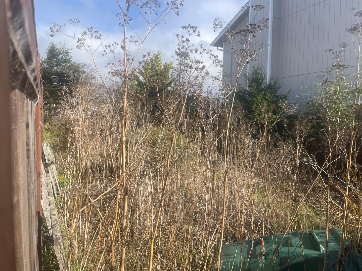 Detail Gallery Image 2 of 2 For 345 Granelli Ave, Half Moon Bay,  CA 94019 - – Beds | – Baths