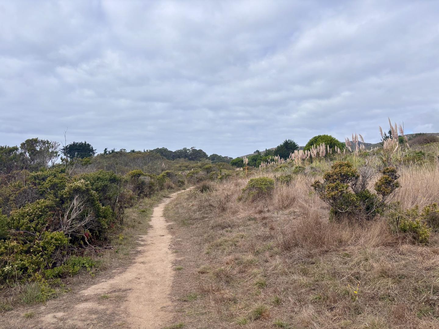 Detail Gallery Image 26 of 26 For 100 Harbour Dr, El Granada,  CA 94019 - 3 Beds | 2 Baths