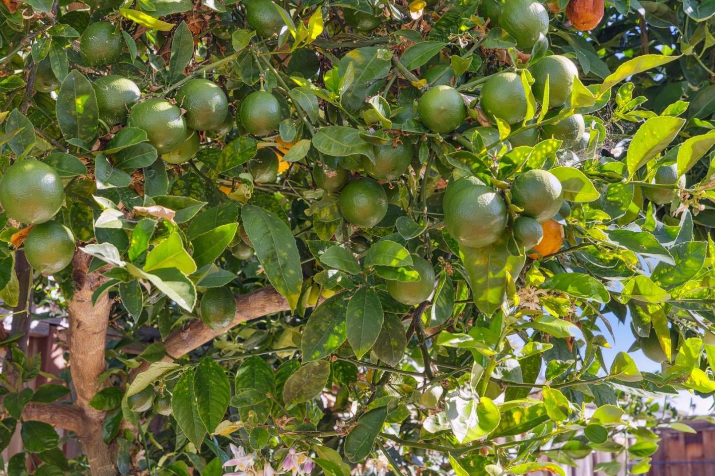 Detail Gallery Image 32 of 33 For 26142 Gettysburg Ave, Hayward,  CA 94545 - 3 Beds | 3 Baths