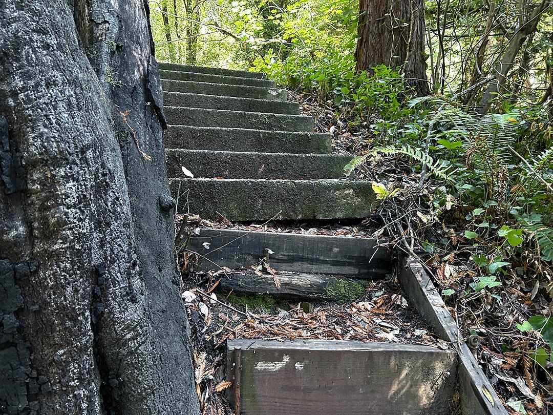 Detail Gallery Image 2 of 10 For 11085 Riverside Rd, Brookdale,  CA 95007 - – Beds | – Baths