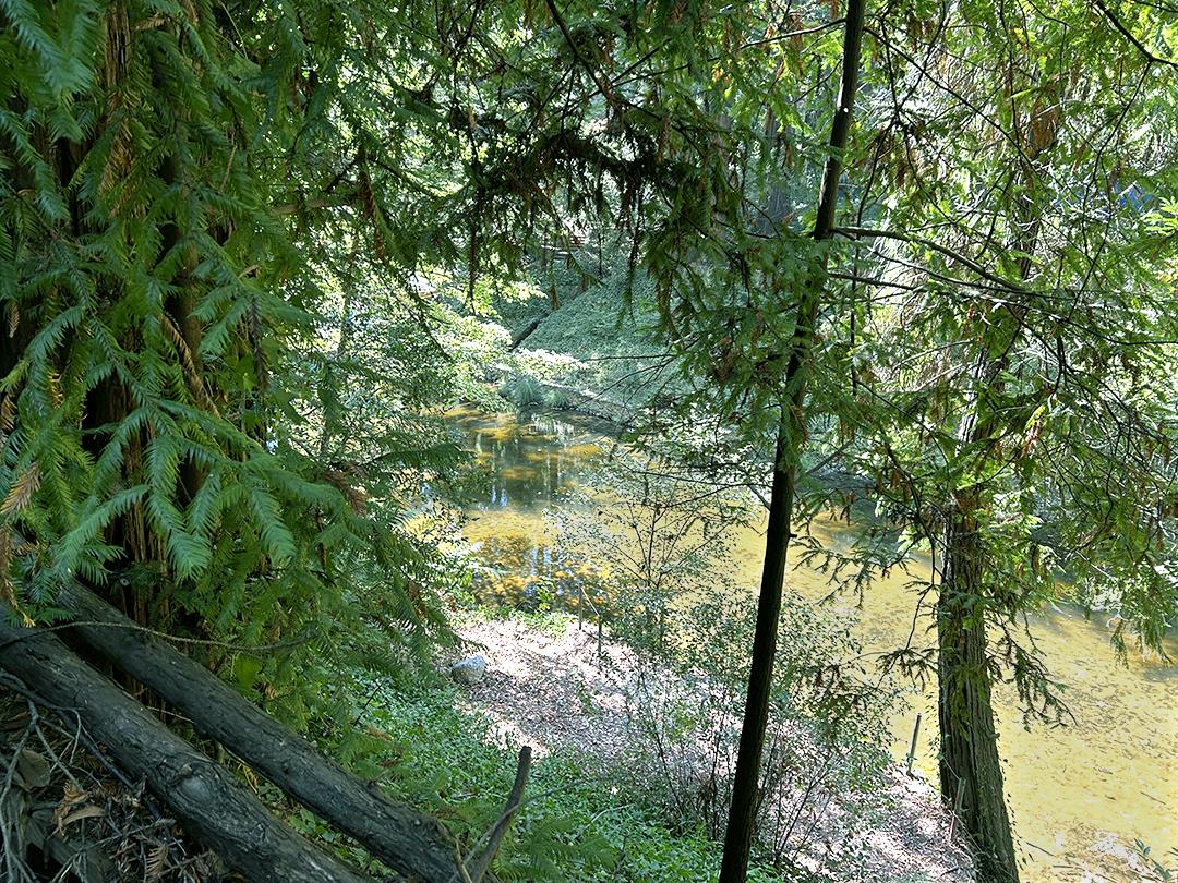 Detail Gallery Image 3 of 10 For 11085 Riverside Rd, Brookdale,  CA 95007 - – Beds | – Baths