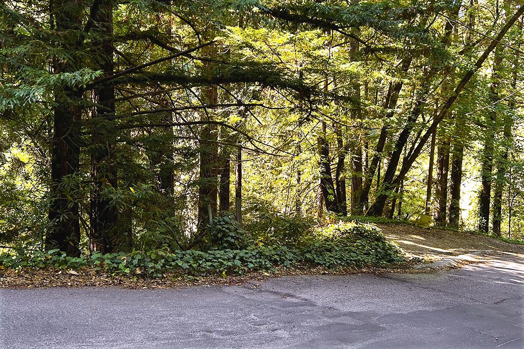 Detail Gallery Image 7 of 10 For 11085 Riverside Rd, Brookdale,  CA 95007 - – Beds | – Baths