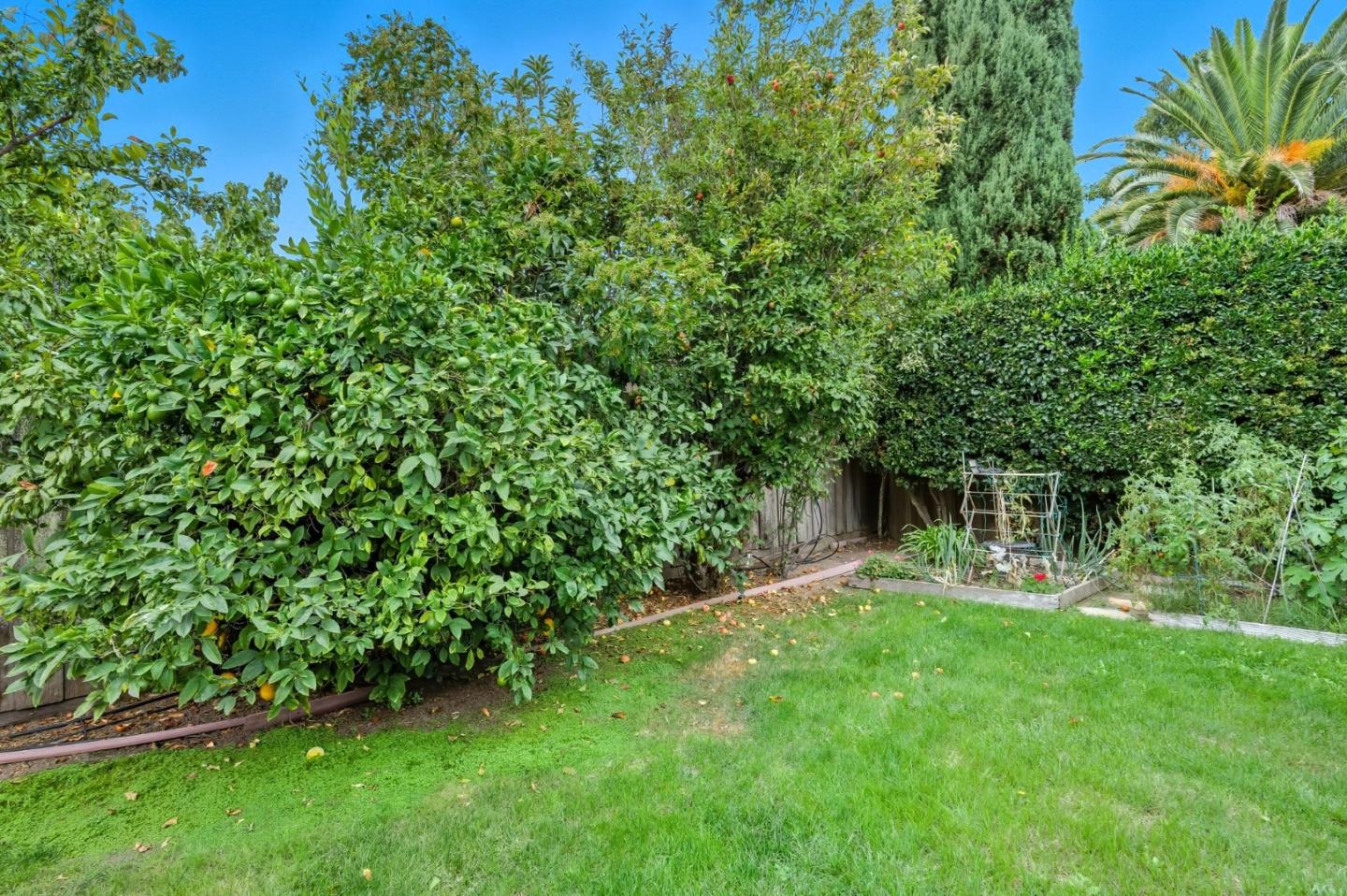 Detail Gallery Image 24 of 26 For 33911 Mello Way, Fremont,  CA 94555 - 3 Beds | 2 Baths