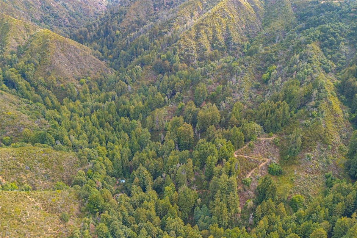 Detail Gallery Image 12 of 21 For Lot 185 Garrapatos Redwoods Trail, Carmel,  CA 93923 - – Beds | – Baths