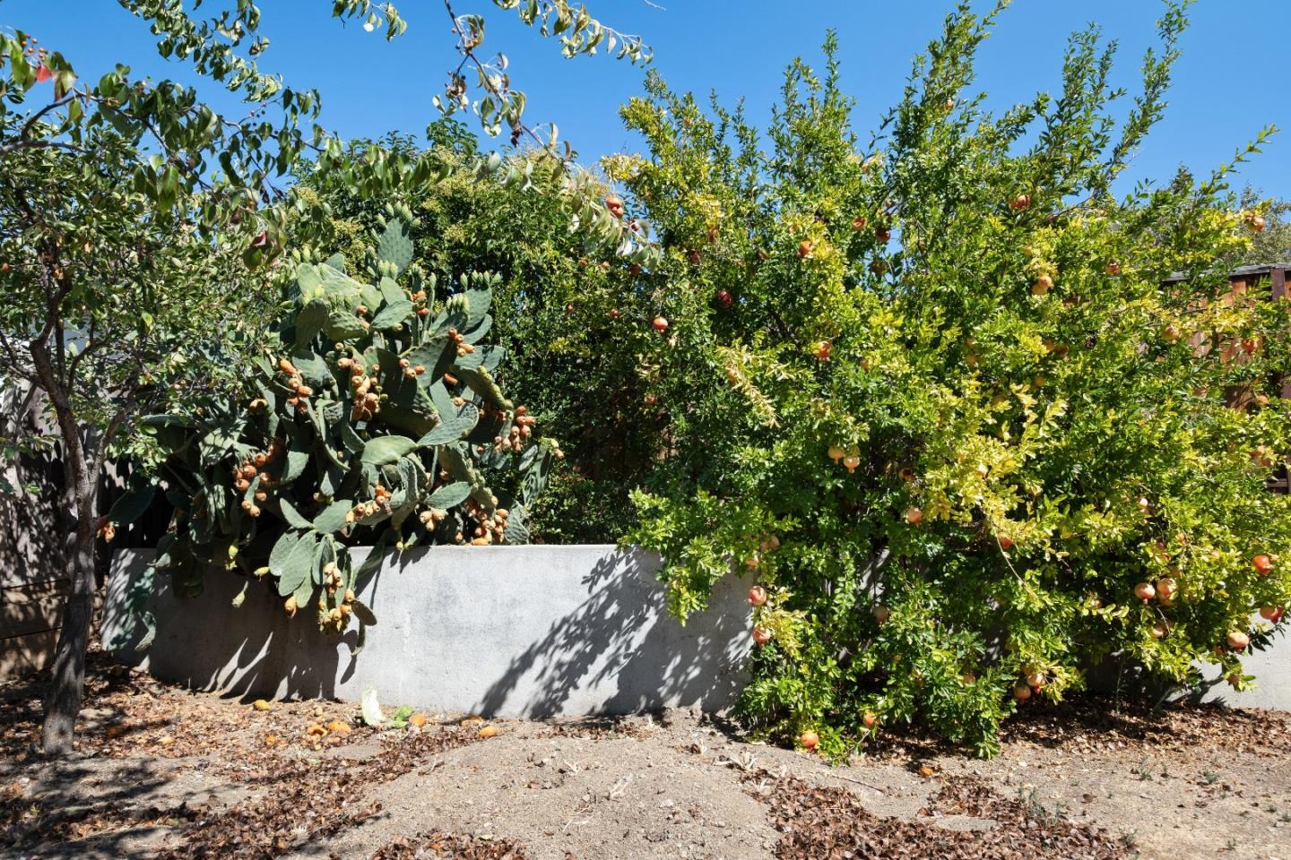 Detail Gallery Image 11 of 52 For 1756 Valhalla Ct, San Jose,  CA 95132 - 3 Beds | 2 Baths