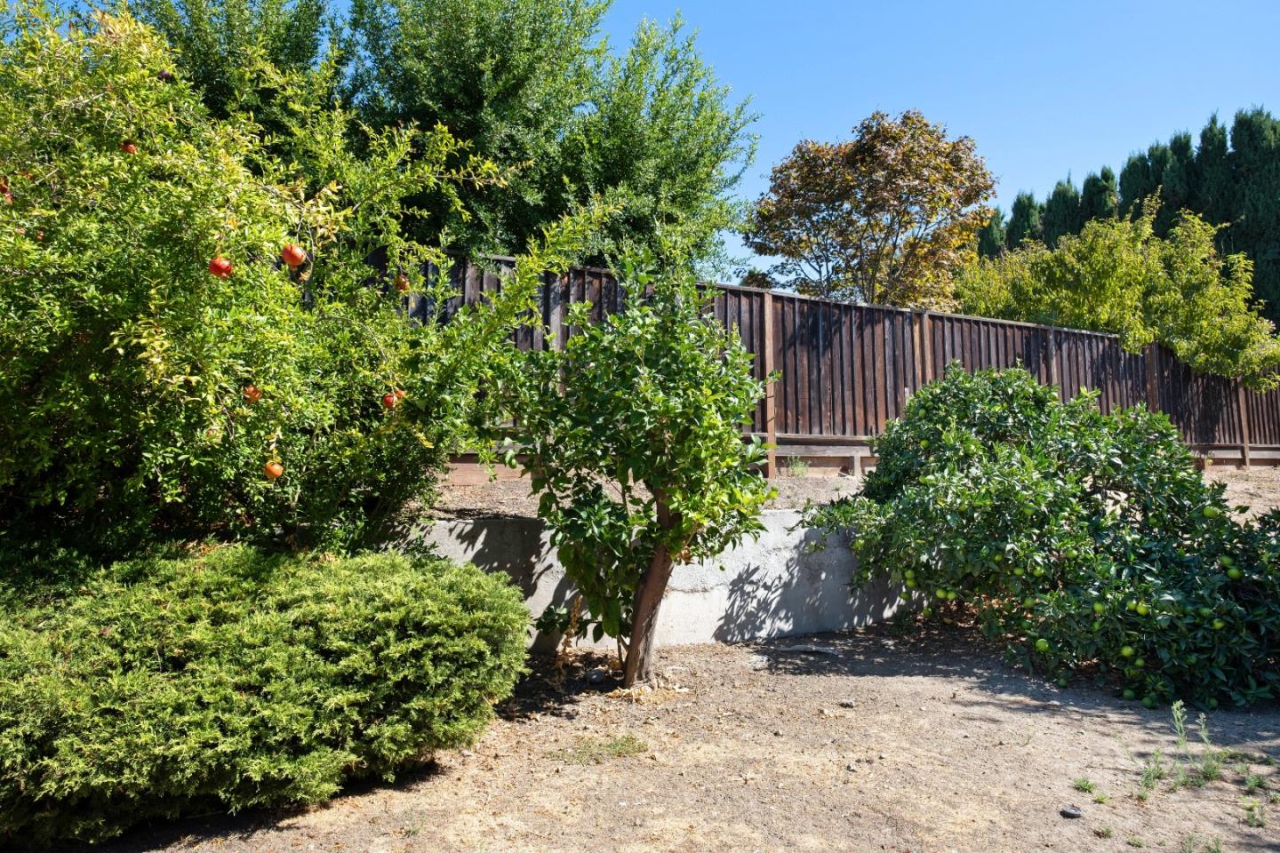 Detail Gallery Image 44 of 52 For 1756 Valhalla Ct, San Jose,  CA 95132 - 3 Beds | 2 Baths