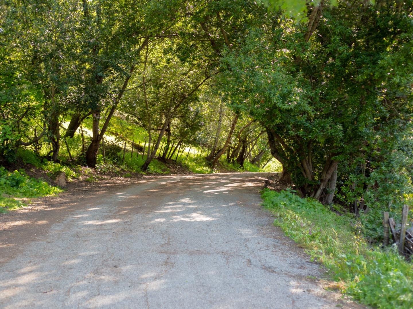 Detail Gallery Image 44 of 50 For 6746 Lookout Bnd, San Jose,  CA 95120 - 4 Beds | 2/1 Baths