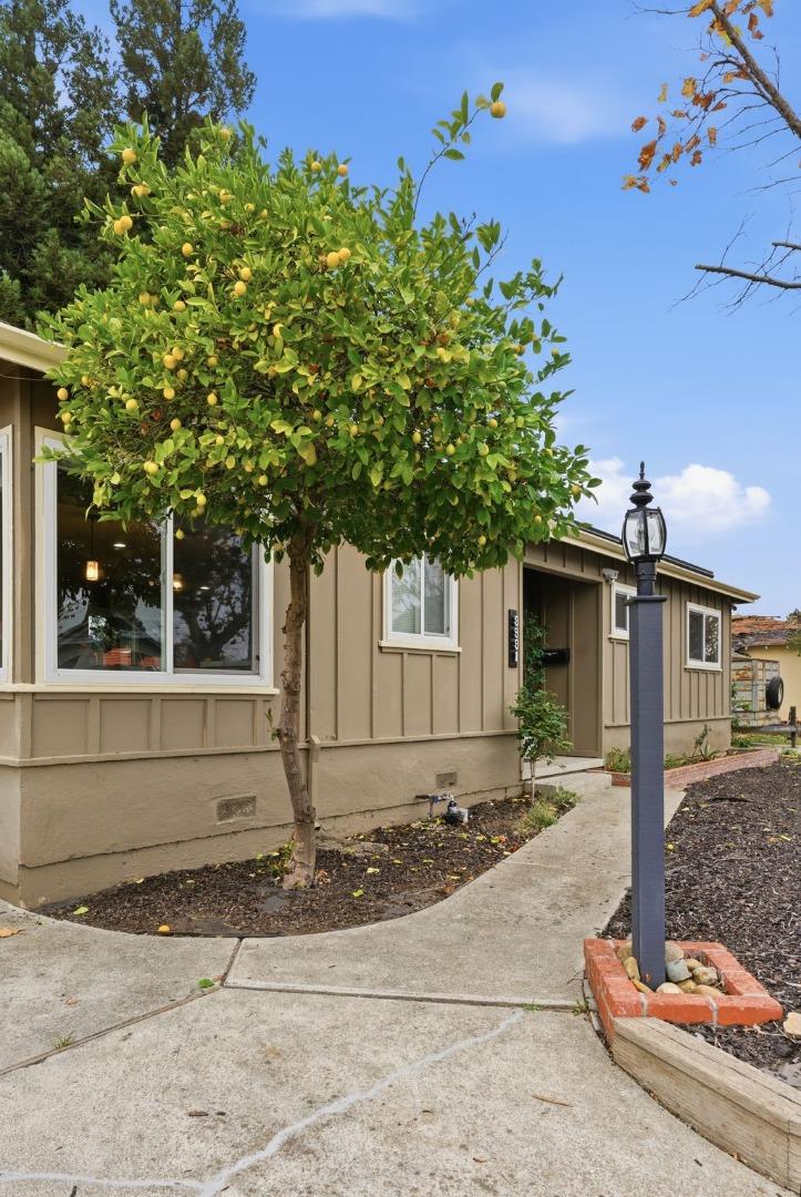 Detail Gallery Image 74 of 75 For 3991 Mulberry Dr, Concord,  CA 94519 - 3 Beds | 2 Baths