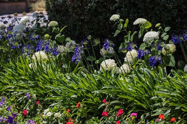 Detail Gallery Image 30 of 38 For 23 Bay Tree Ln, Los Altos,  CA 94022 - 2 Beds | 2 Baths