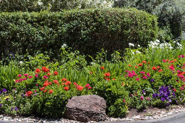 Detail Gallery Image 31 of 38 For 23 Bay Tree Ln, Los Altos,  CA 94022 - 2 Beds | 2 Baths