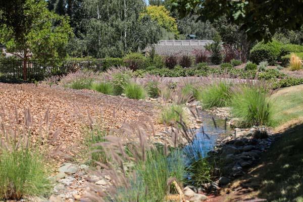 Detail Gallery Image 37 of 38 For 23 Bay Tree Ln, Los Altos,  CA 94022 - 2 Beds | 2 Baths