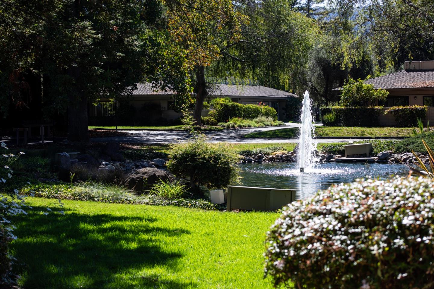 Detail Gallery Image 7 of 38 For 23 Bay Tree Ln, Los Altos,  CA 94022 - 2 Beds | 2 Baths