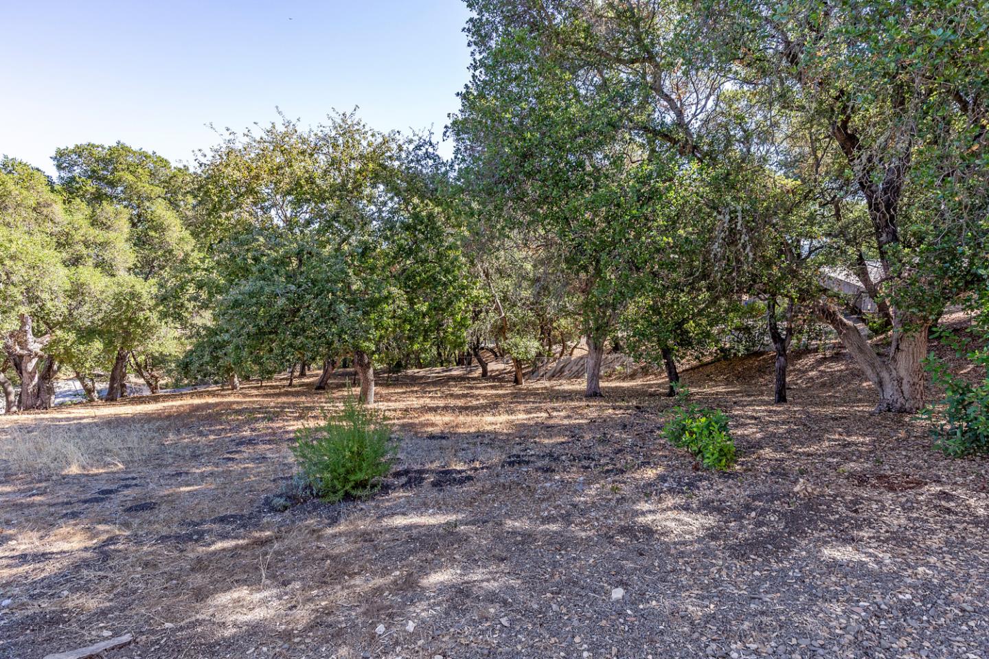 Detail Gallery Image 29 of 31 For 26385 Altamont Rd, Los Altos Hills,  CA 94022 - 4 Beds | 2 Baths