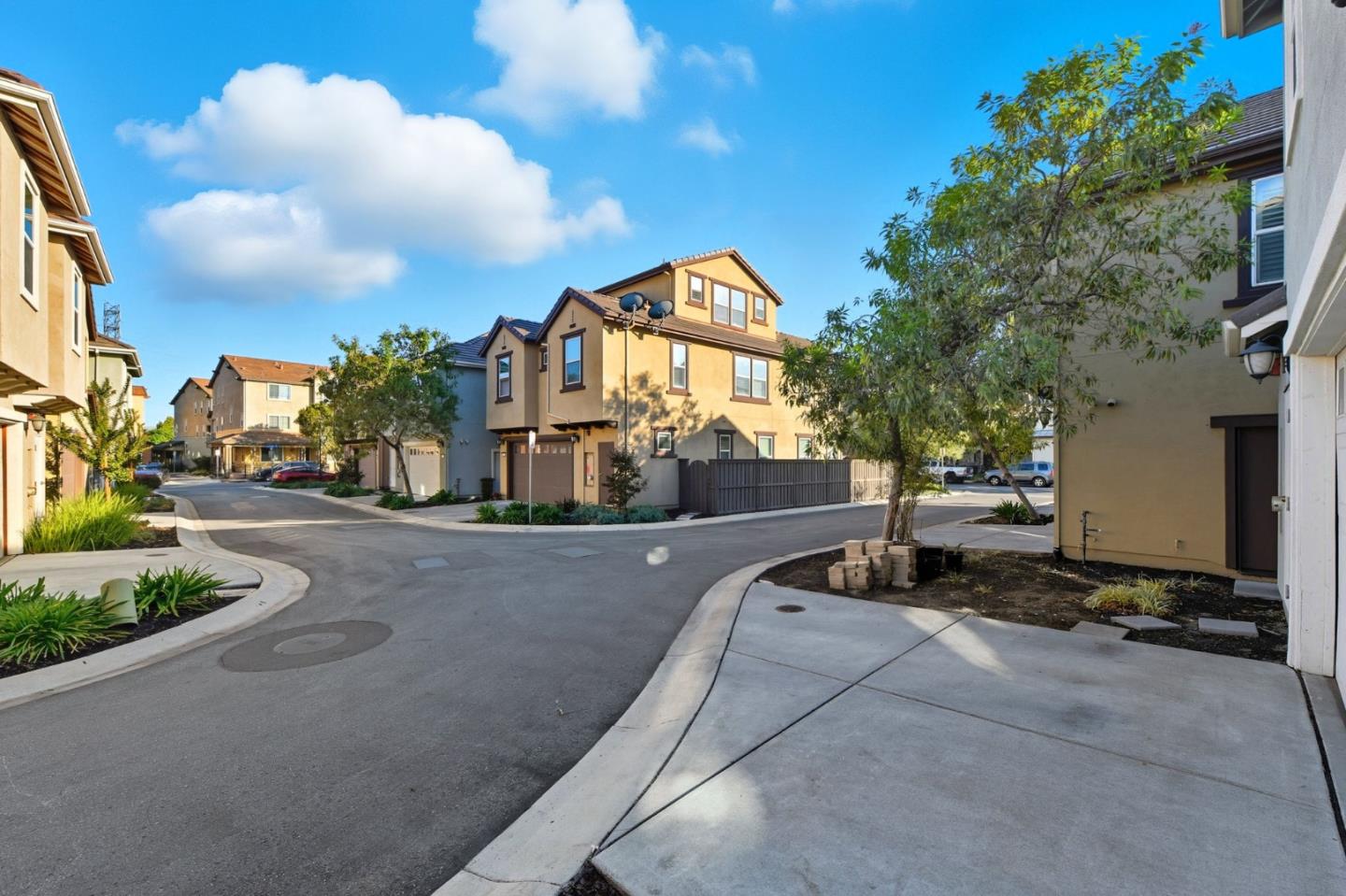 Detail Gallery Image 48 of 74 For 819 Maddox Loop, San Jose,  CA 95123 - 4 Beds | 2/1 Baths