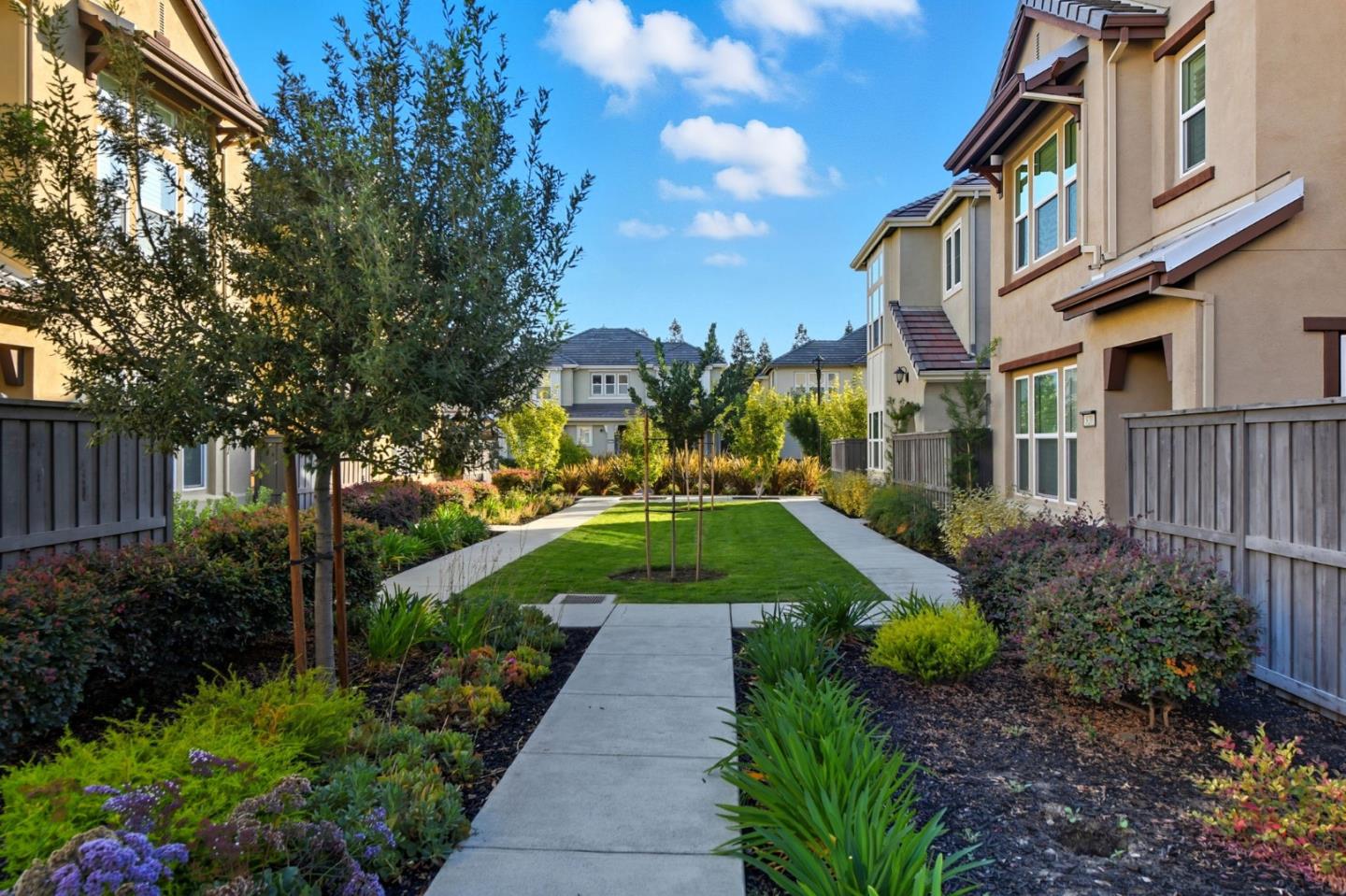 Detail Gallery Image 6 of 74 For 819 Maddox Loop, San Jose,  CA 95123 - 4 Beds | 2/1 Baths