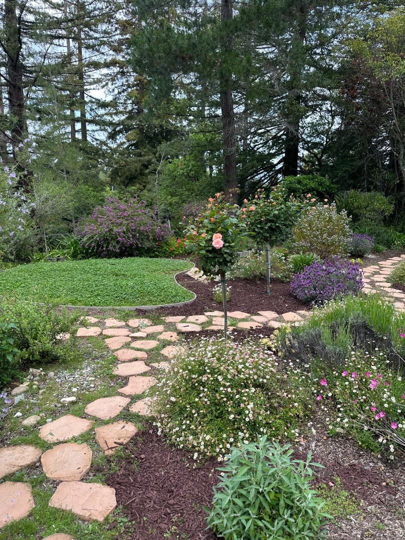 Detail Gallery Image 35 of 36 For 20 Don Ct, Redwood City,  CA 94062 - 4 Beds | 3 Baths