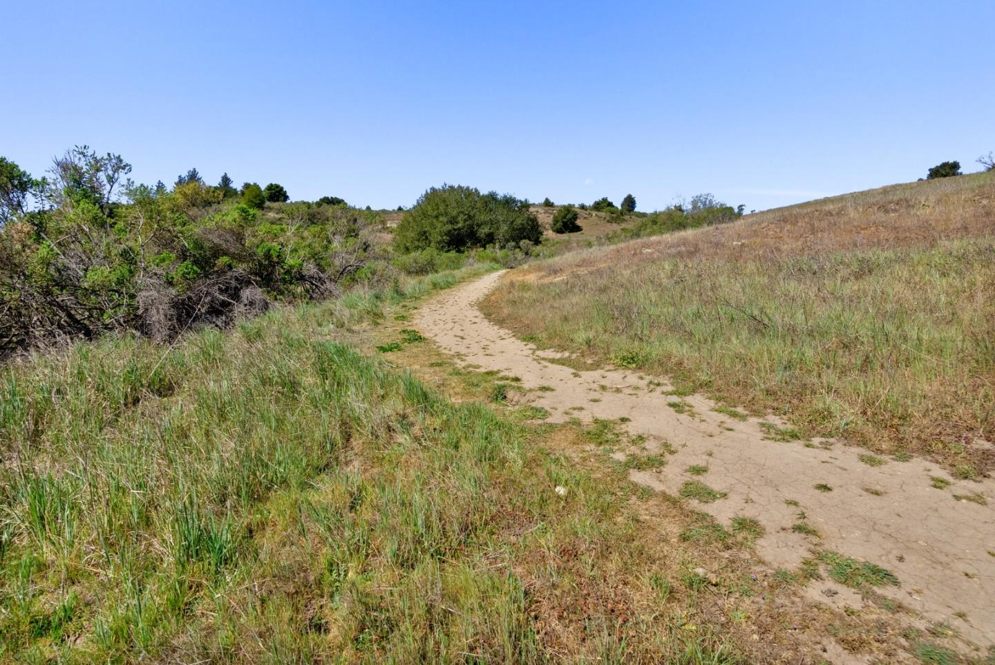 Detail Gallery Image 92 of 95 For 560 Hacienda Dr, Scotts Valley,  CA 95066 - 4 Beds | 3 Baths