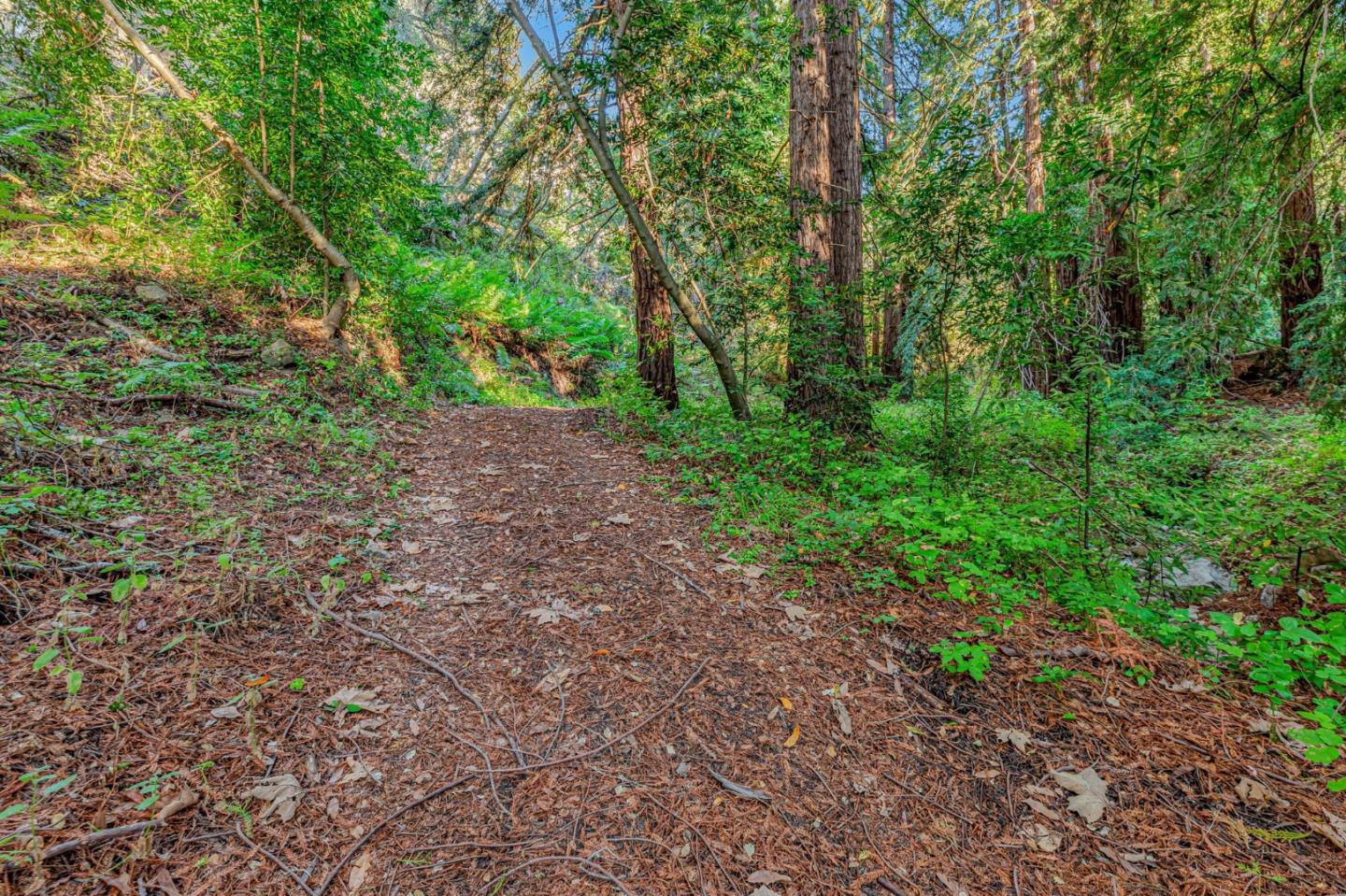 Detail Gallery Image 11 of 100 For Adamo Ranch, Carmel Valley Rd, Carmel,  CA 93923 - – Beds | – Baths