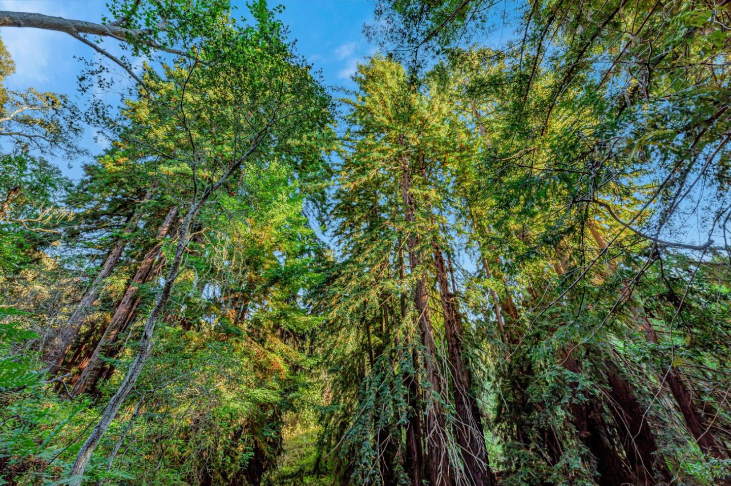 Adamo Ranch, Carmel Valley Road, Carmel, CA, 93923