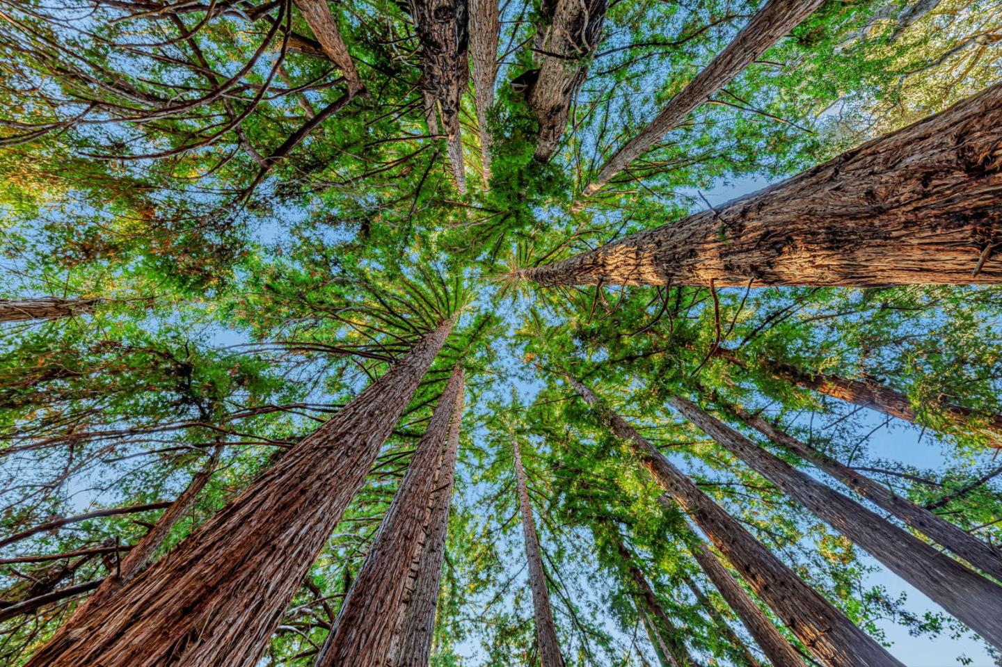 Detail Gallery Image 15 of 100 For Adamo Ranch, Carmel Valley Rd, Carmel,  CA 93923 - – Beds | – Baths