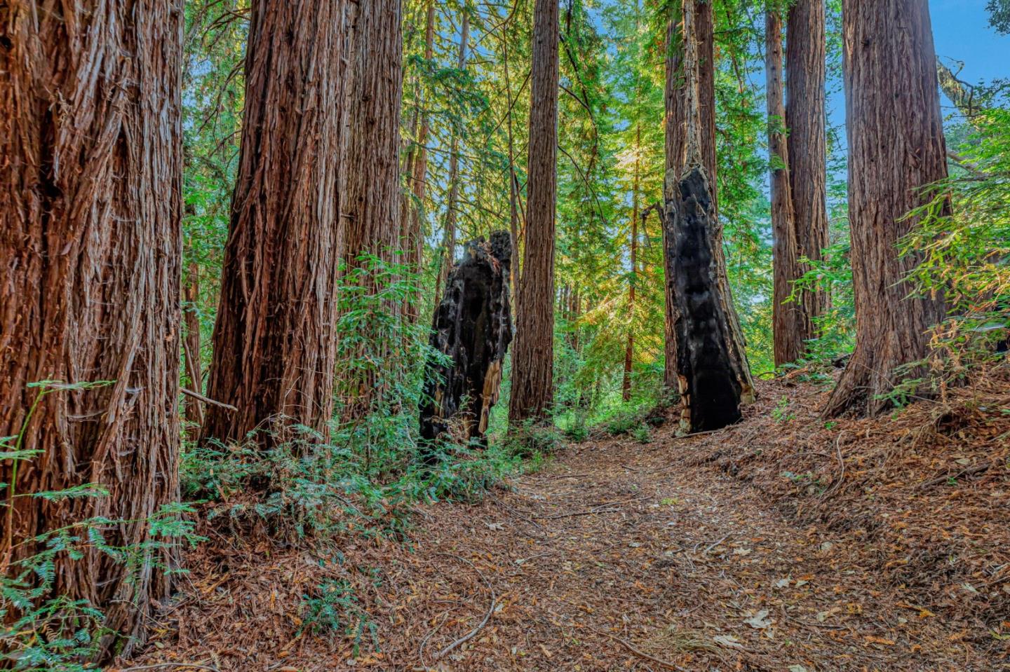 Adamo Ranch, Carmel Valley Road, Carmel, CA, 93923