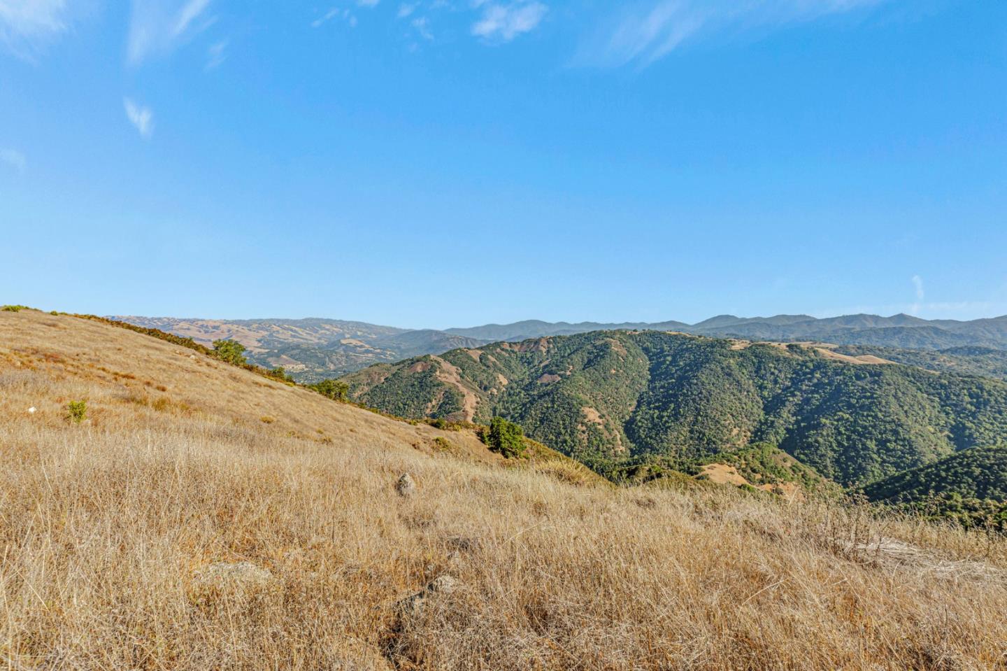 Detail Gallery Image 28 of 100 For Adamo Ranch, Carmel Valley Rd, Carmel,  CA 93923 - – Beds | – Baths