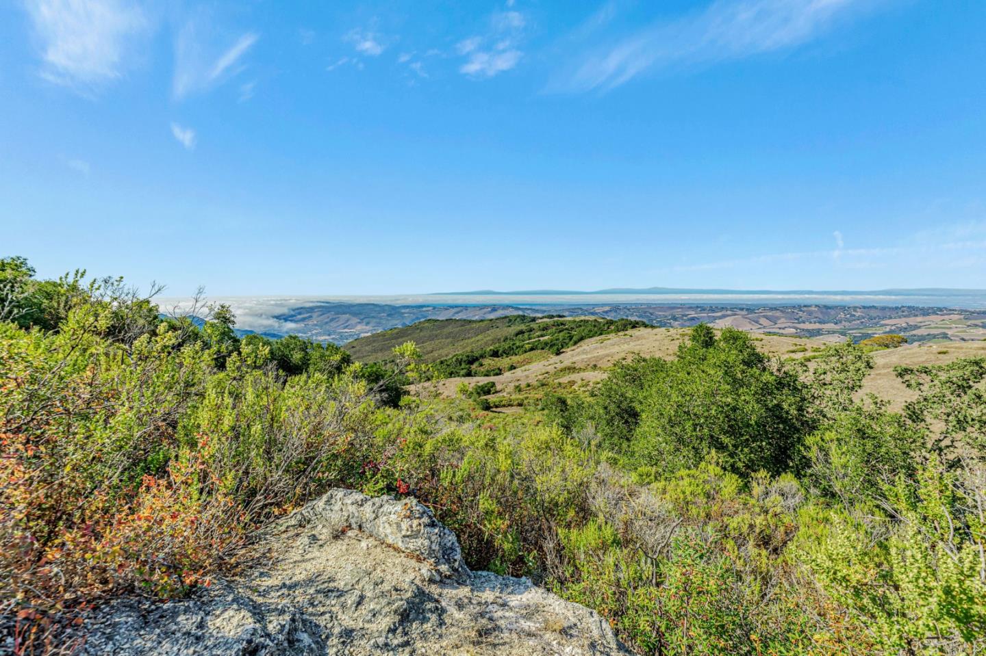 Detail Gallery Image 34 of 100 For Adamo Ranch, Carmel Valley Rd, Carmel,  CA 93923 - – Beds | – Baths