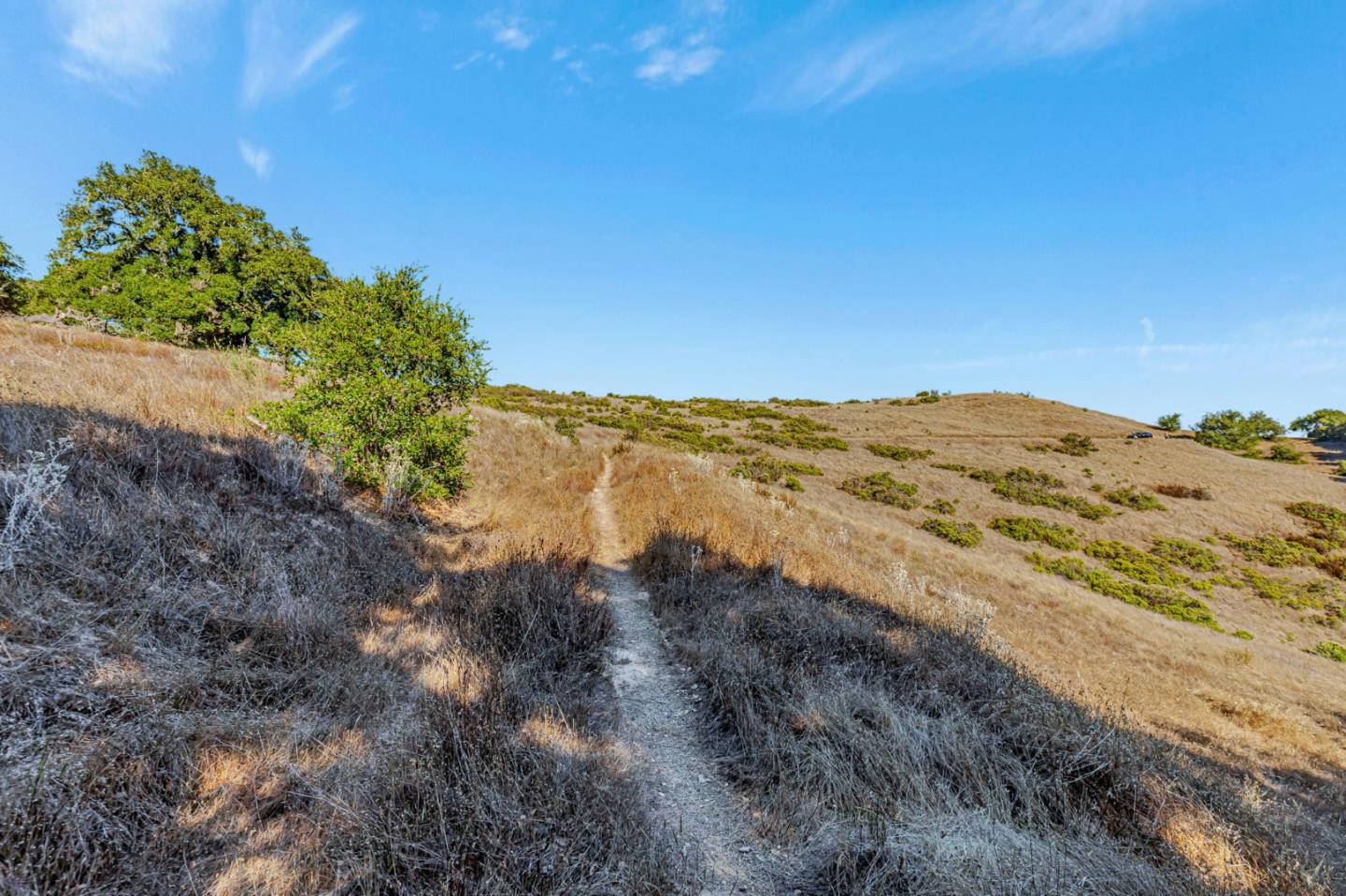 Detail Gallery Image 40 of 100 For Adamo Ranch, Carmel Valley Rd, Carmel,  CA 93923 - – Beds | – Baths