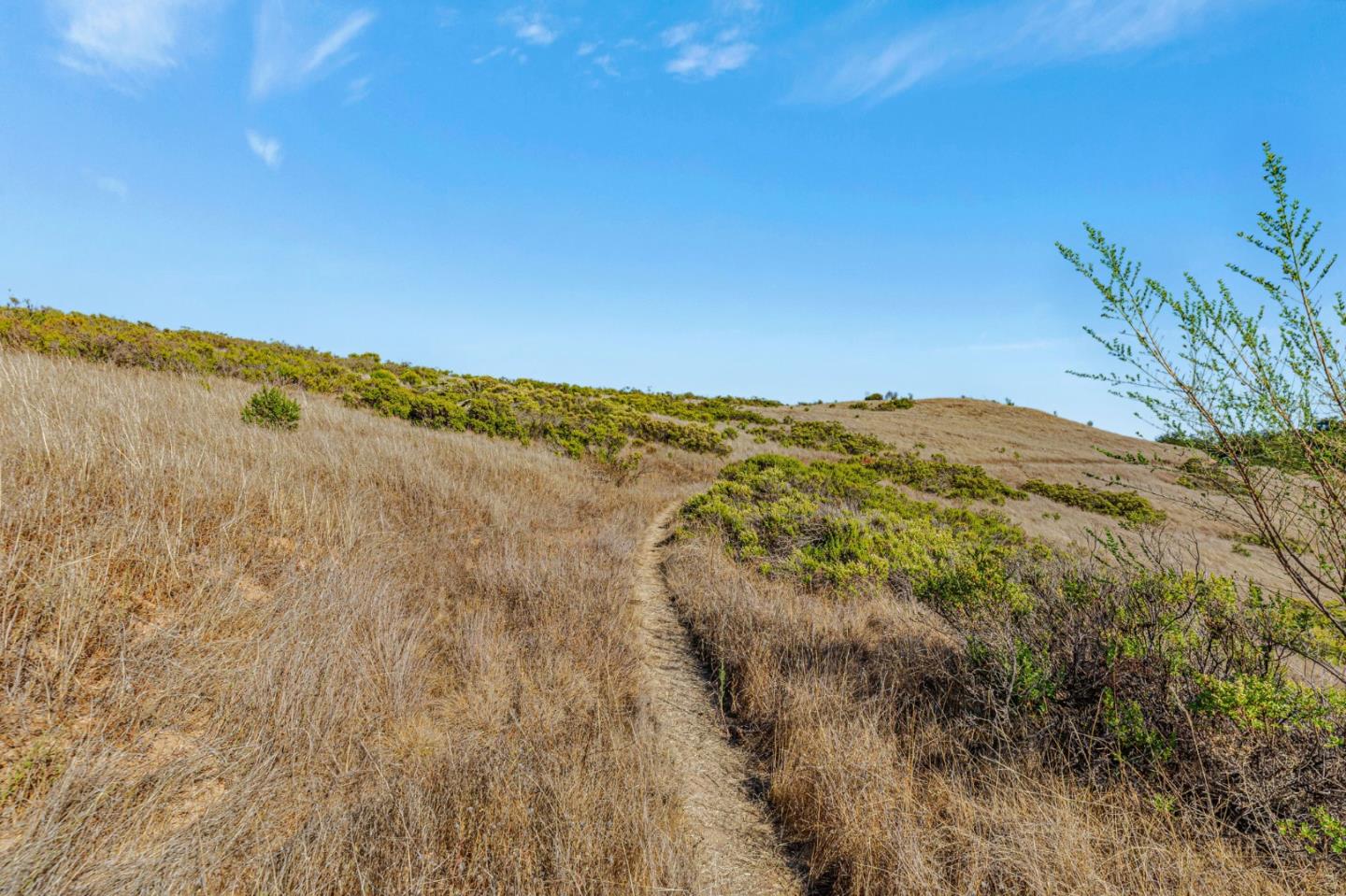 Detail Gallery Image 41 of 100 For Adamo Ranch, Carmel Valley Rd, Carmel,  CA 93923 - – Beds | – Baths