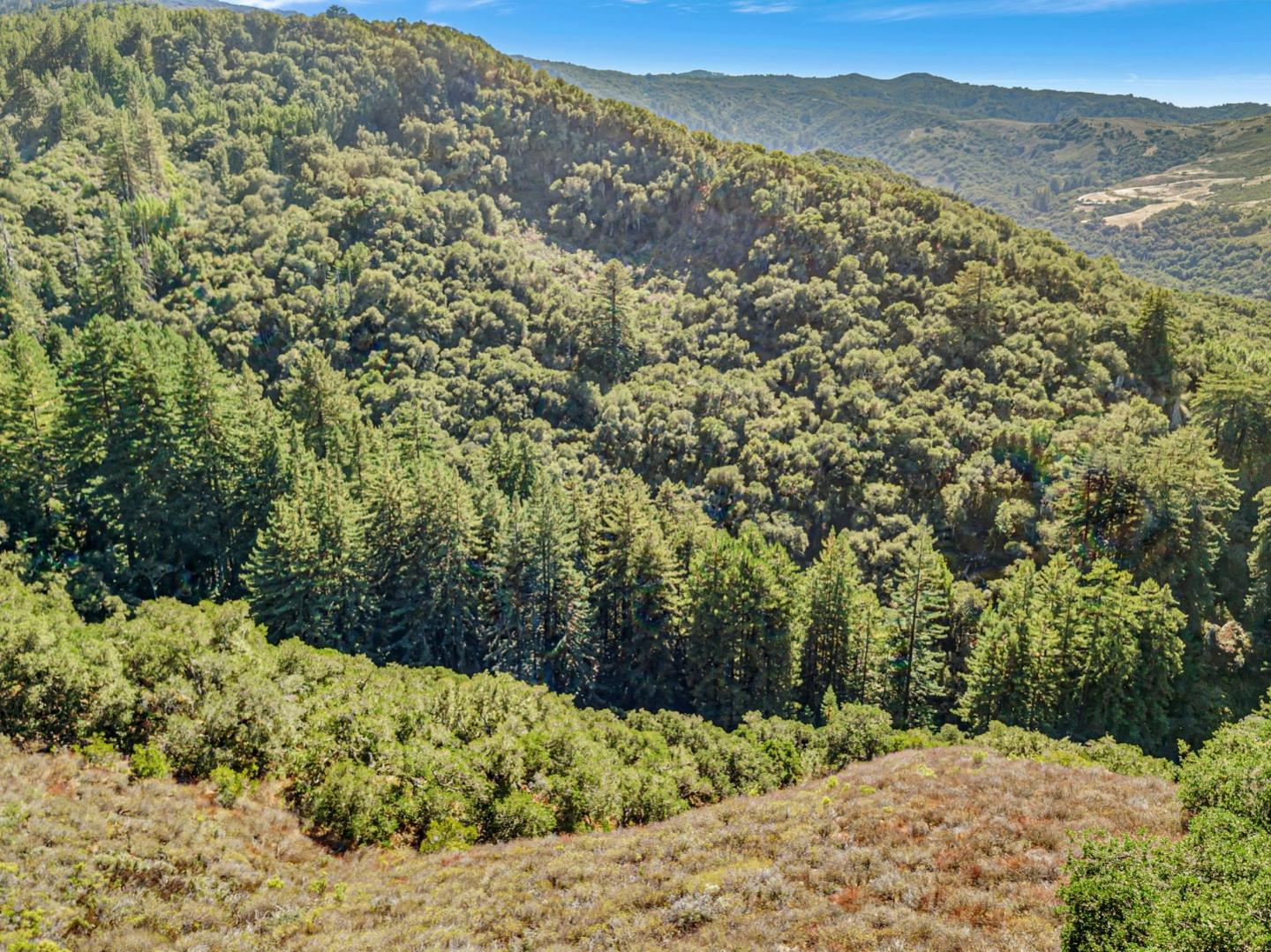 Detail Gallery Image 48 of 100 For Adamo Ranch, Carmel Valley Rd, Carmel,  CA 93923 - – Beds | – Baths