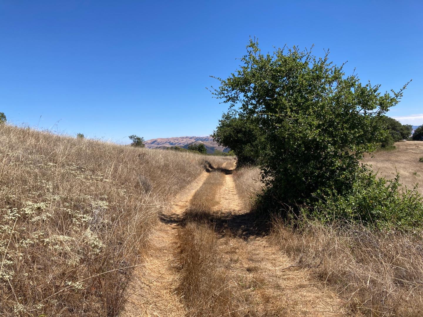 Detail Gallery Image 76 of 100 For Adamo Ranch, Carmel Valley Rd, Carmel,  CA 93923 - – Beds | – Baths