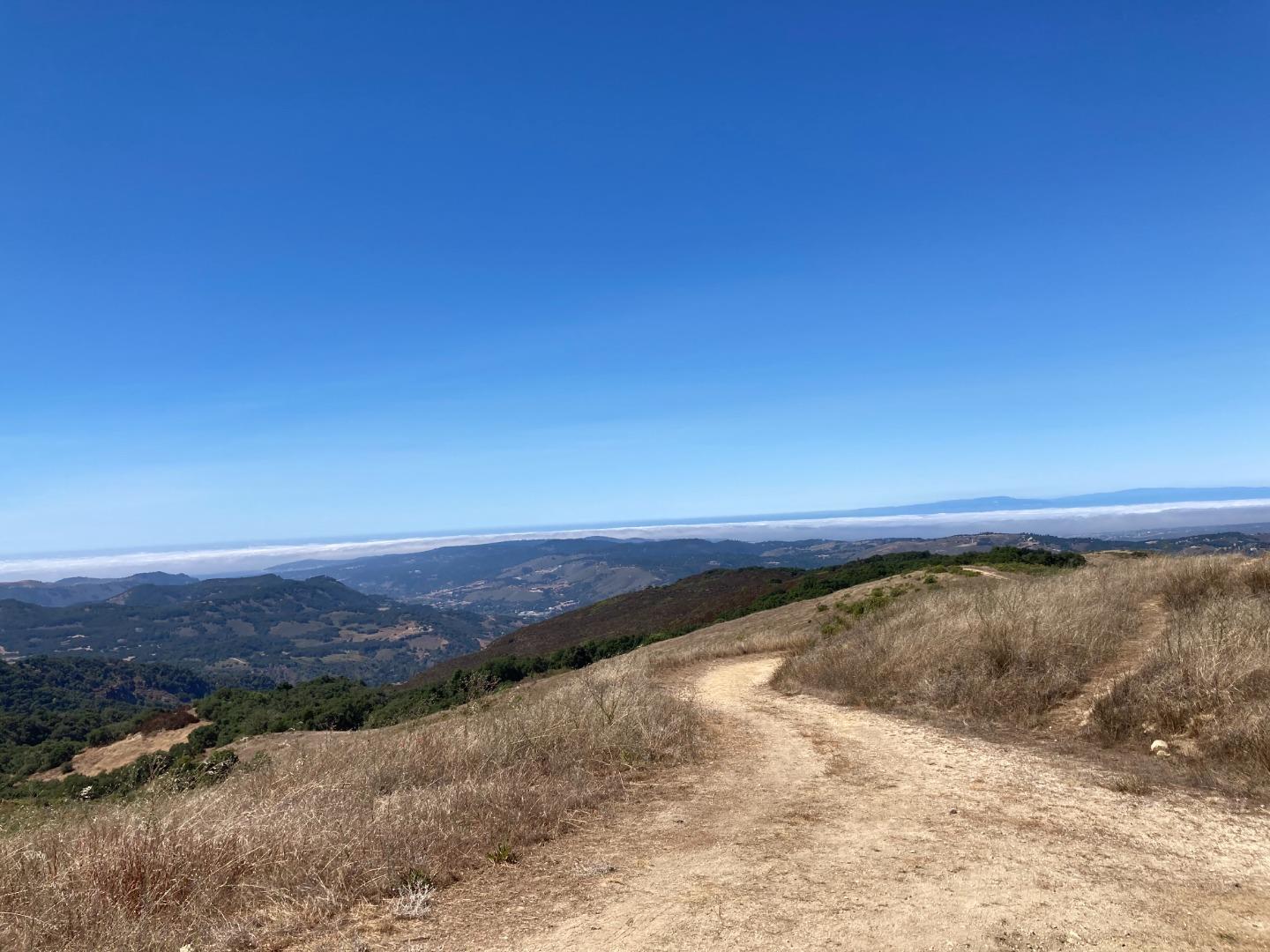 Detail Gallery Image 80 of 100 For Adamo Ranch, Carmel Valley Rd, Carmel,  CA 93923 - – Beds | – Baths