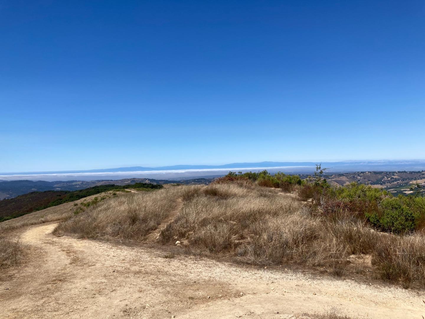 Detail Gallery Image 81 of 100 For Adamo Ranch, Carmel Valley Rd, Carmel,  CA 93923 - – Beds | – Baths