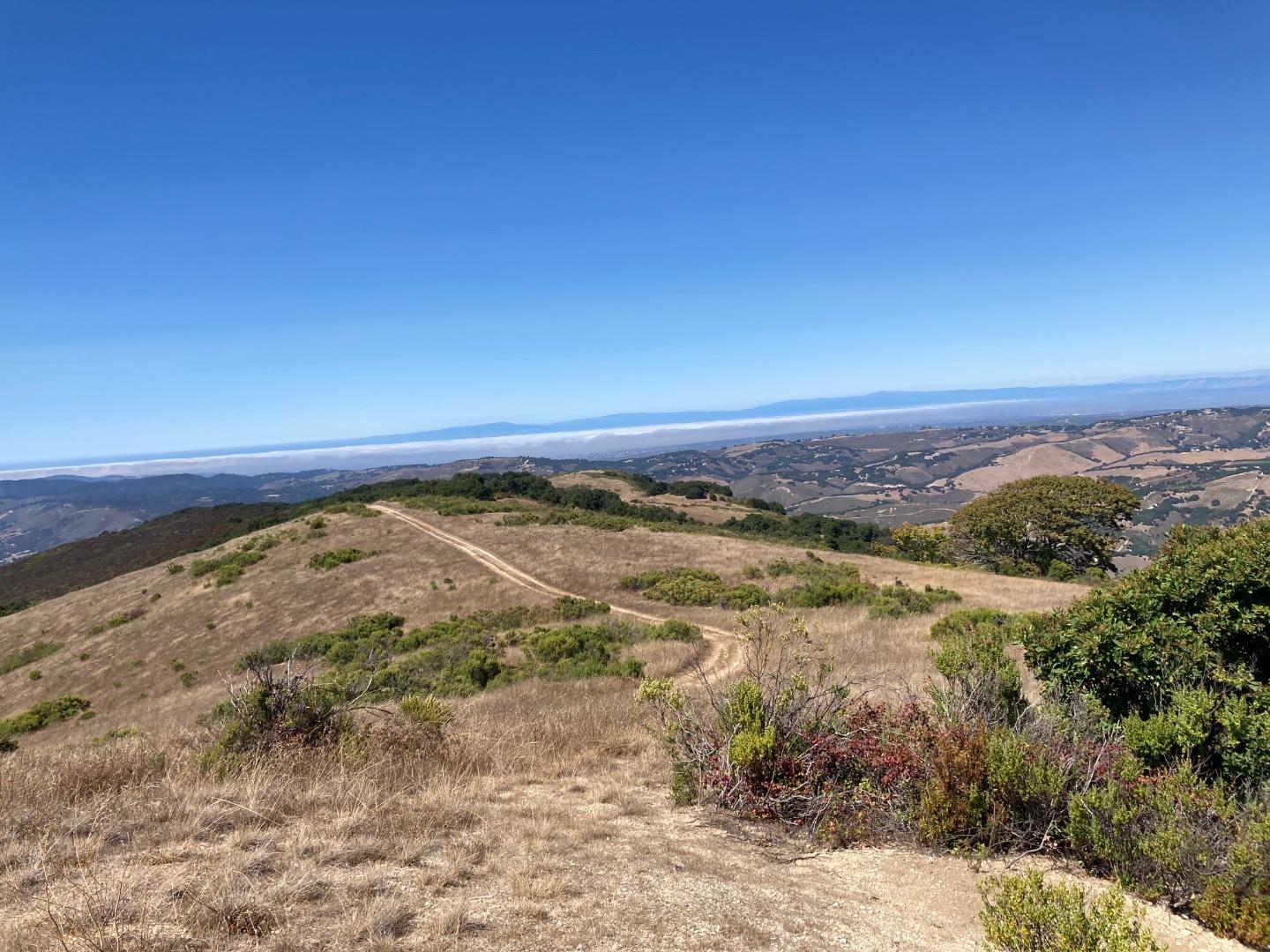 Detail Gallery Image 82 of 100 For Adamo Ranch, Carmel Valley Rd, Carmel,  CA 93923 - – Beds | – Baths