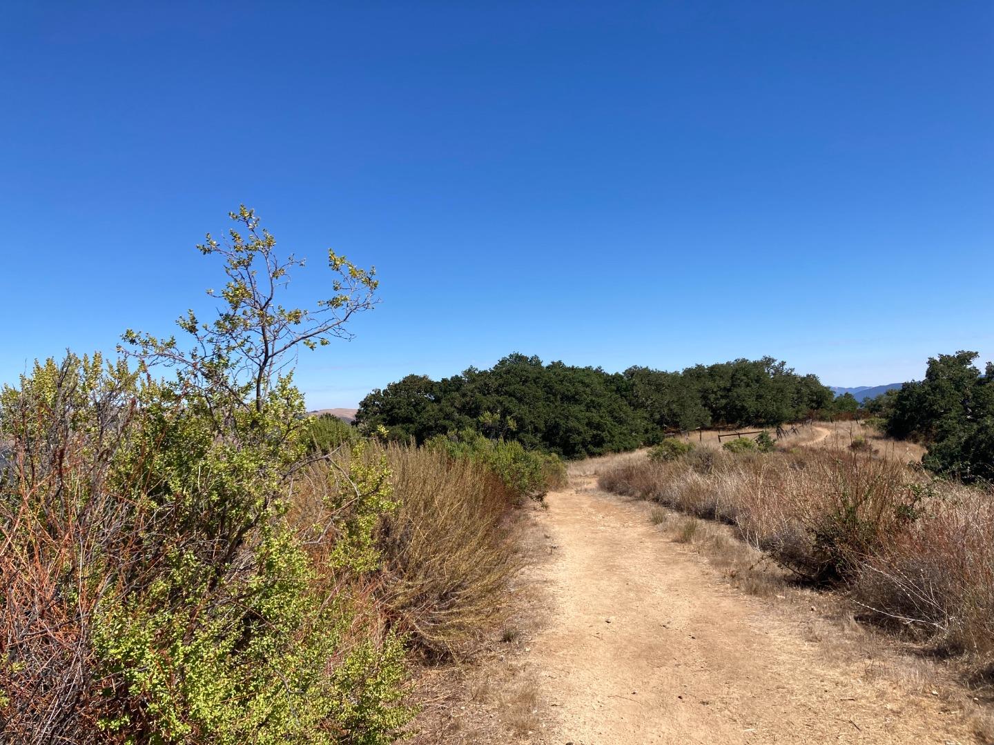 Detail Gallery Image 87 of 100 For Adamo Ranch, Carmel Valley Rd, Carmel,  CA 93923 - – Beds | – Baths