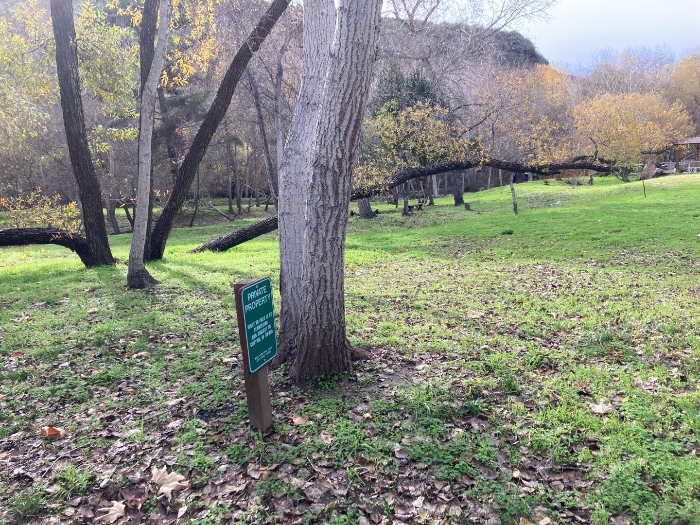 Detail Gallery Image 96 of 100 For Adamo Ranch, Carmel Valley Rd, Carmel,  CA 93923 - – Beds | – Baths