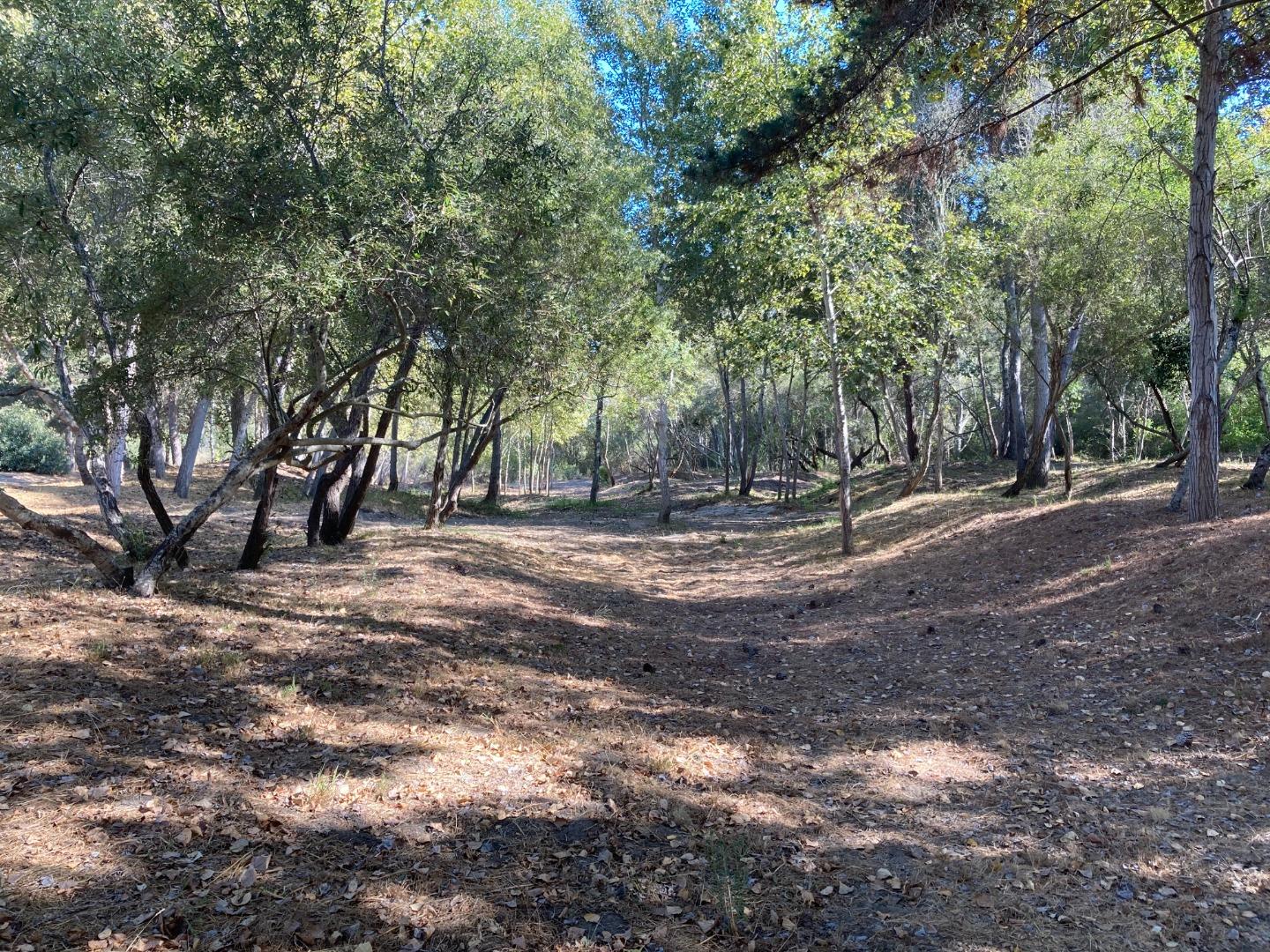 Detail Gallery Image 98 of 100 For Adamo Ranch, Carmel Valley Rd, Carmel,  CA 93923 - – Beds | – Baths