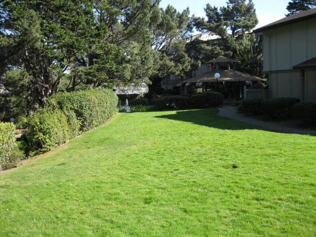 Detail Gallery Image 27 of 30 For 373 Half Moon Ln #306,  Daly City,  CA 94015 - 2 Beds | 1 Baths