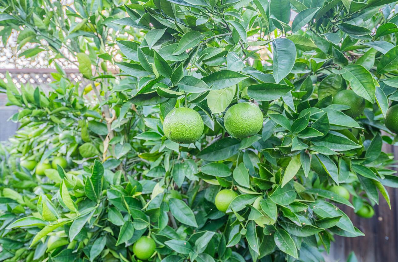 Detail Gallery Image 37 of 39 For 22720 Picador Dr, Salinas,  CA 93908 - 5 Beds | 3 Baths