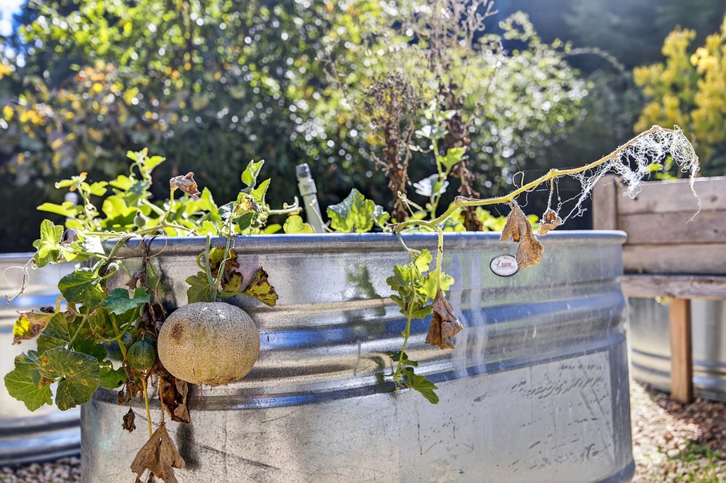 Detail Gallery Image 42 of 49 For 21860 Bear Creek Way, Los Gatos,  CA 95033 - 4 Beds | 3/1 Baths