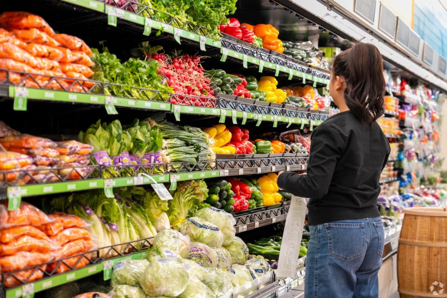 Detail Gallery Image 110 of 112 For 766 N Redwood Ave, San Jose,  CA 95128 - 3 Beds | 2 Baths