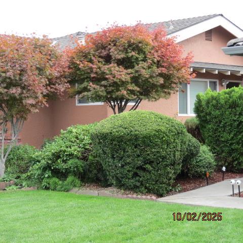 Detail Gallery Image 3 of 16 For Town and Country Ln, Santa Clara,  CA 95050 - 2 Beds | 1 Baths