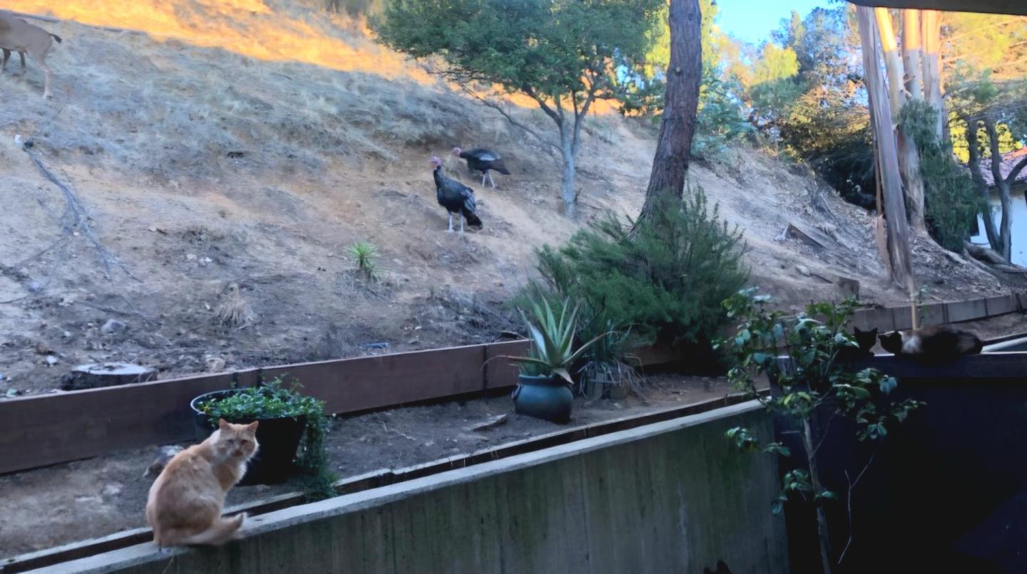 Detail Gallery Image 22 of 30 For 22140 Castille Ln #75,  Hayward,  CA 94541 - 3 Beds | 2/1 Baths